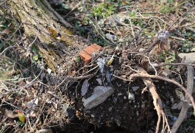 &ldquo;亞洲第一采坑&rdquo;綠色救贖 破除資源的&ldquo;詛咒&rdquo;