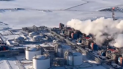 大鵝能源出口轉向亞洲 經濟命脈的新挑戰與西方制裁的陰影