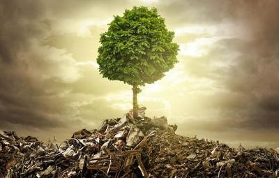 垃圾回收催生新職業(yè) 別因舊眼光錯過新風口