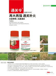 2020年 讓稀缺產(chǎn)品資源走進(jìn)千家萬(wàn)戶